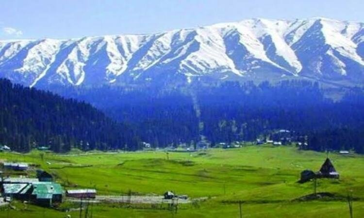 Gulmarg - A Meadow of Flowers