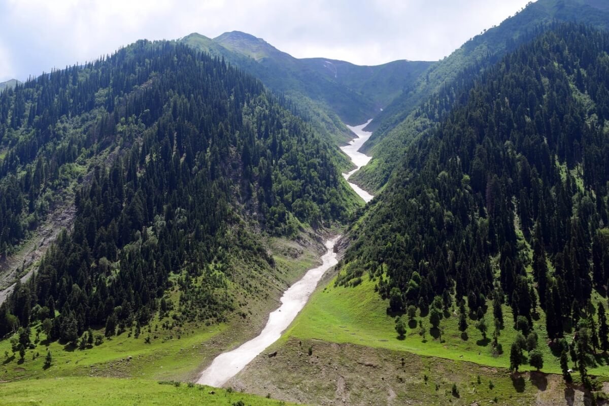 Sonamarg - A Meadow of Gold