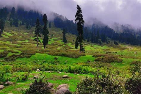 Doodhpathri Valley – Kashmir’s Untouched Gem