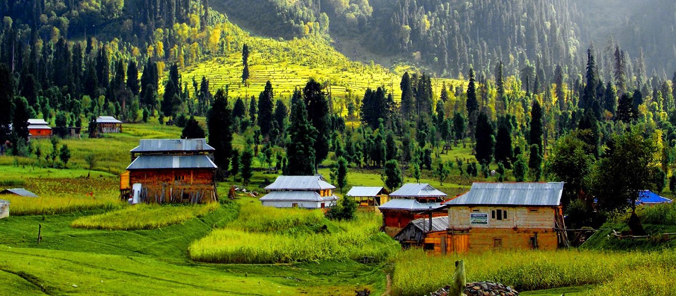 Bungas Valley: Where Silence Speaks in Green