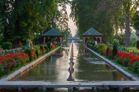 Shalimar Garden: A Mughal Love Letter in Bloom