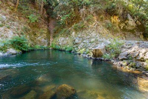Harwan Garden: A Quiet Corner of Kashmir