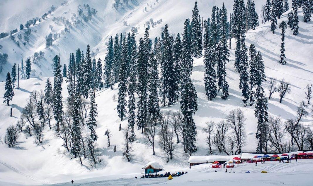 Patnitop: Wrapped in Pines and Quiet