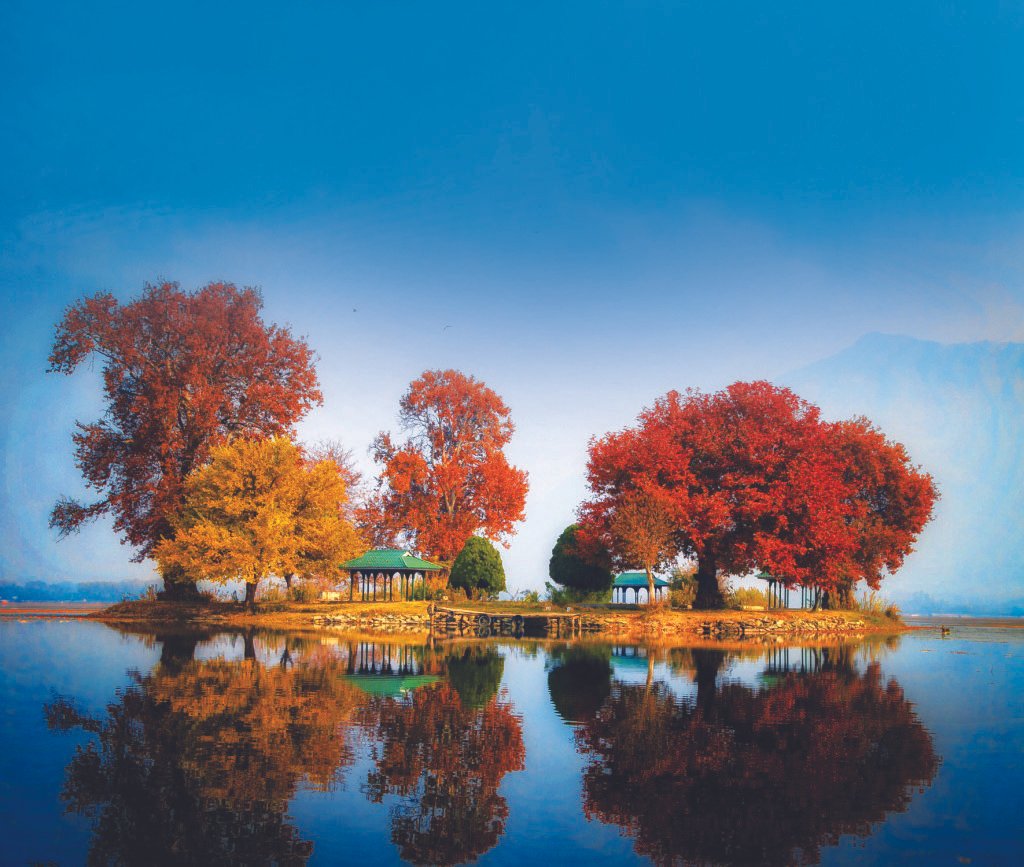 Char Chinar: Kashmir’s Tranquil Escape on Dal Lake