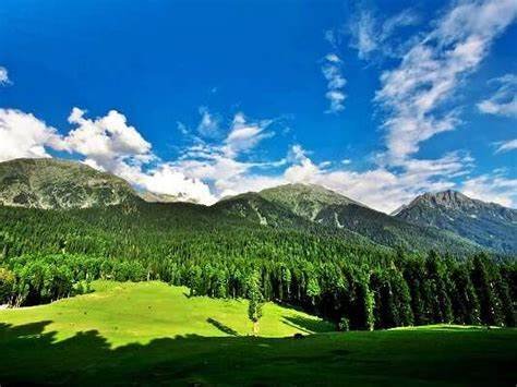 Baisaran Valley: A Scenic Escape into Kashmir’s Pristine Wilderness