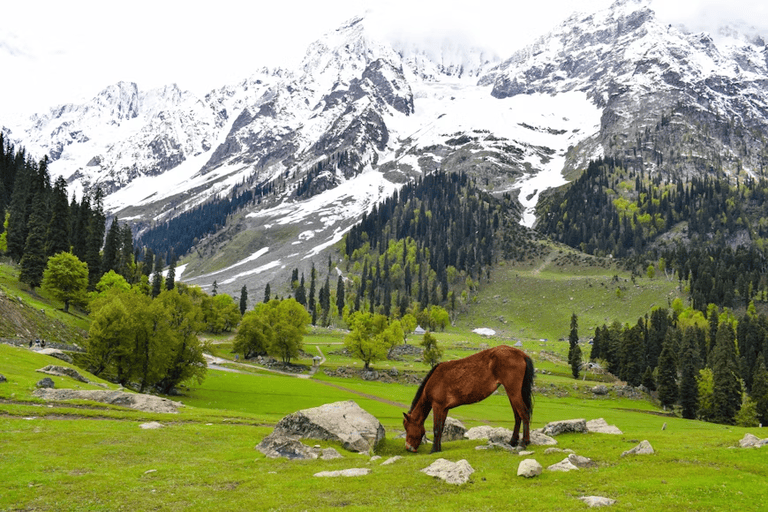 Karnah Valley: Kashmir’s Treasured Heaven