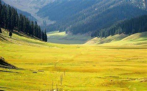 Sernab Meadows: A Hidden Gem in Kupwara