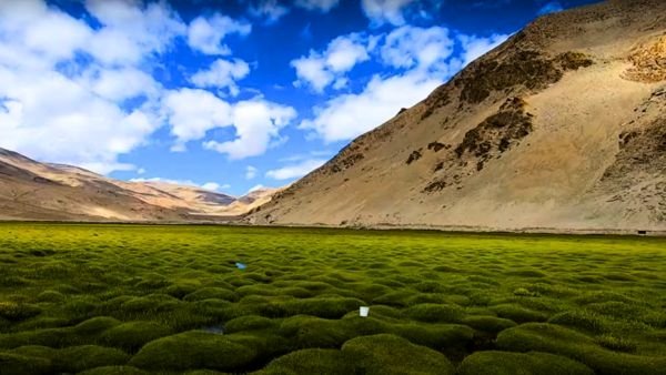 Puga Valley: Ladakh’s Boiling Beauty in the Cold Desert