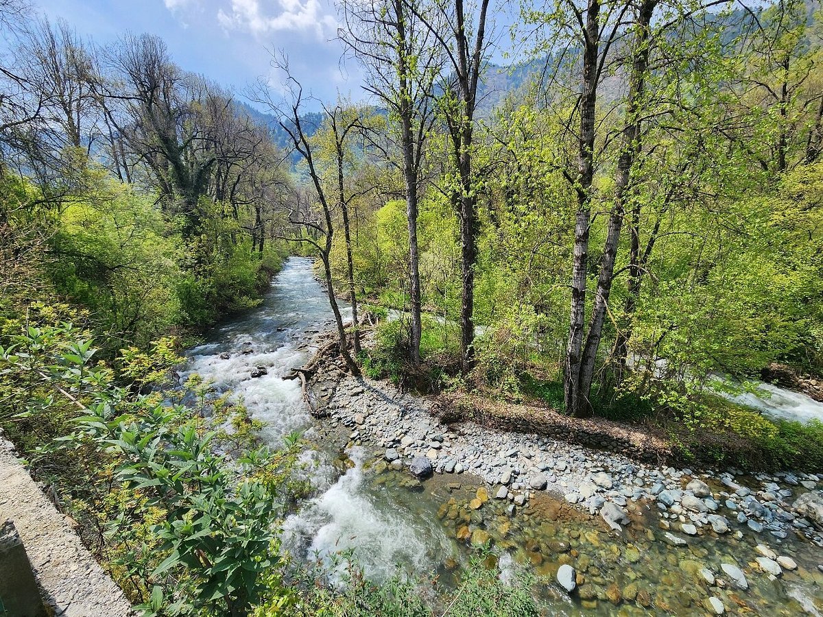 Dachigam National Park: Kashmir’s Wild Sanctuary of the Hangul