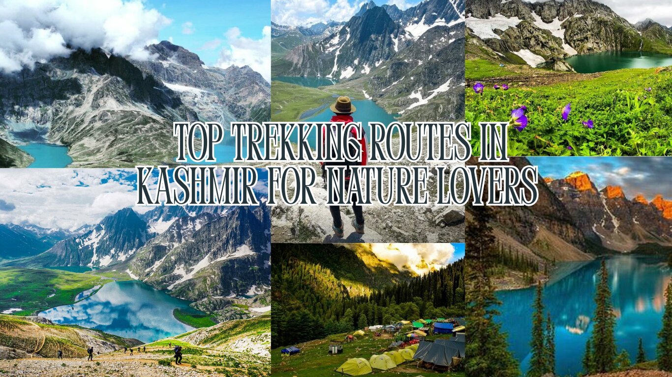 Kashmir’s Most Breathtaking Treks for Adventure Enthusiasts